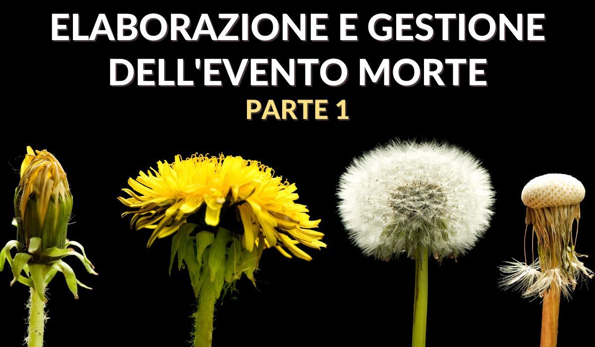 Elaborazione e gestione dell'evento morte (parte 1)