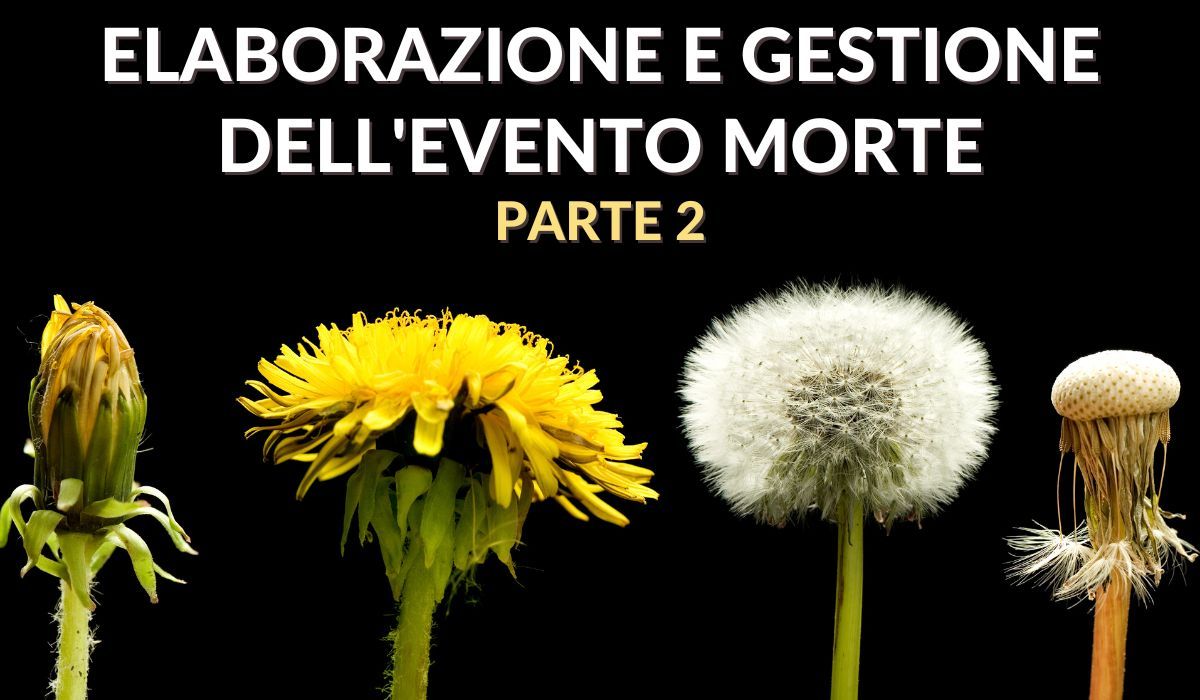 Elaborazione e gestione dell'evento morte (parte 2)